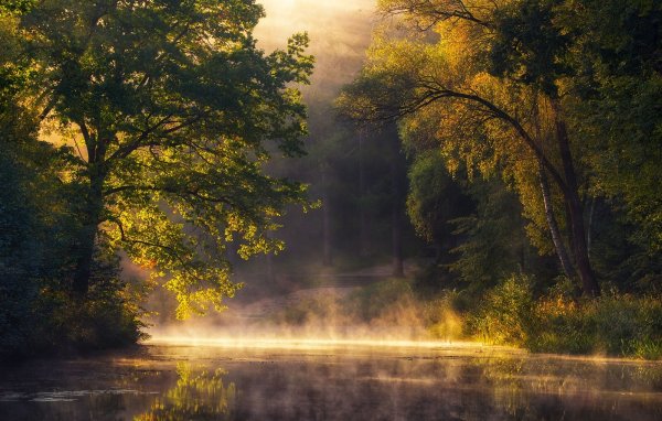 Туманный рассвет на реке