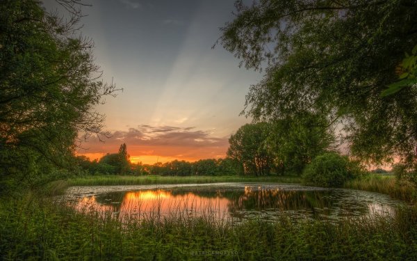 Летний рассвет