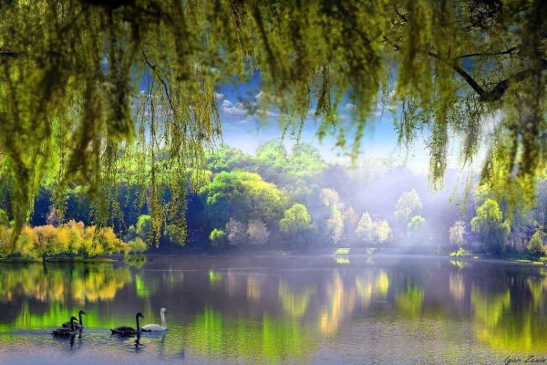 Игорь Зенин фотохудожник озеро