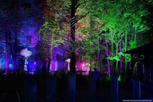 Парк в Останкино Волшебный лес