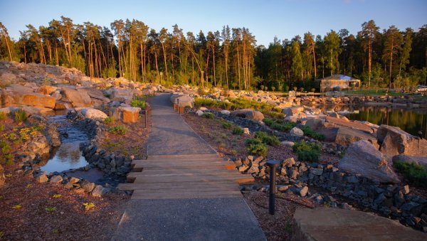 Парк Малевича пруд