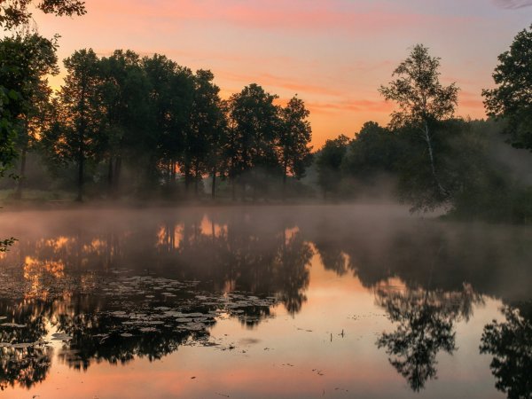 Вечер туман озеро