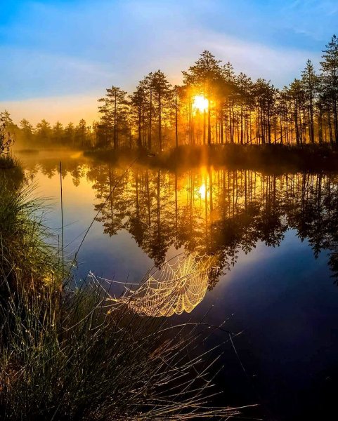 Федор Лашков Ленинградская область