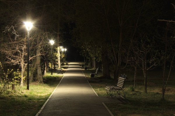 Освещение в лесопарке