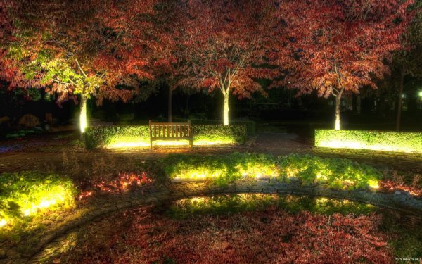 Вечерняя подсветка в парке