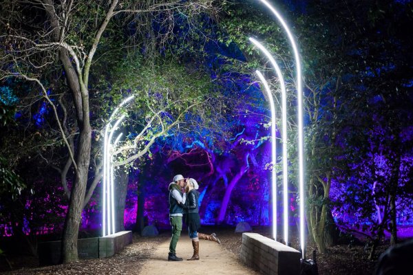 Подсветка в парке