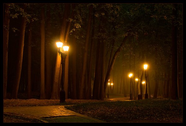 Аллея ночью