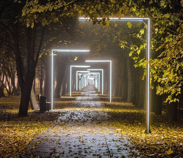 Северное Тушино аллея