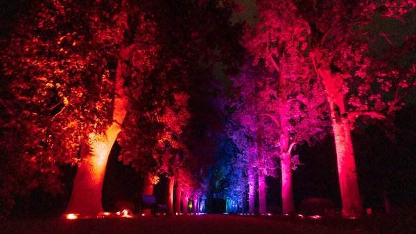 Южные культуры Адлер Оживший парк