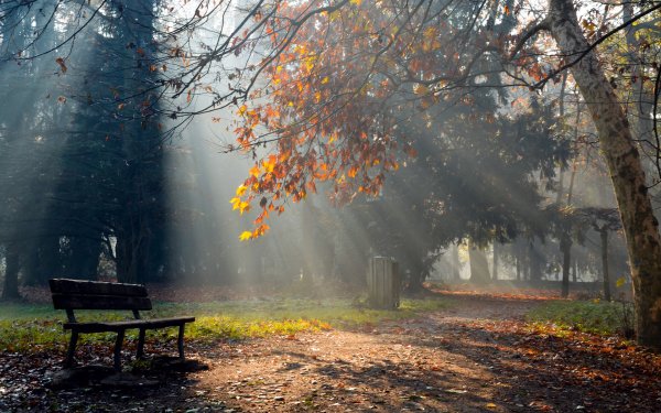 Осень в городе