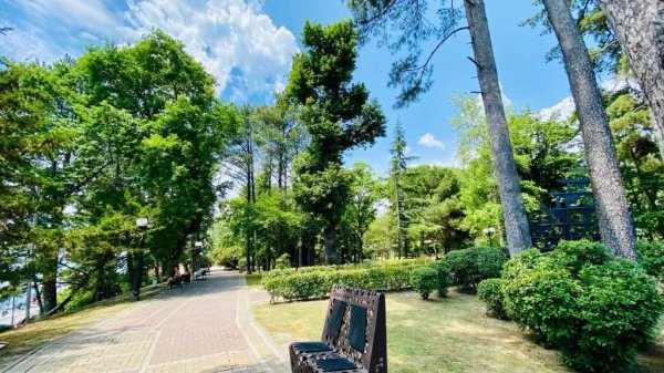 Парка Фрунзе Сочи