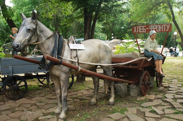 Парк Фрунзе Оренбург