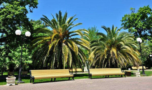 Фрунзе Сочи с набережной