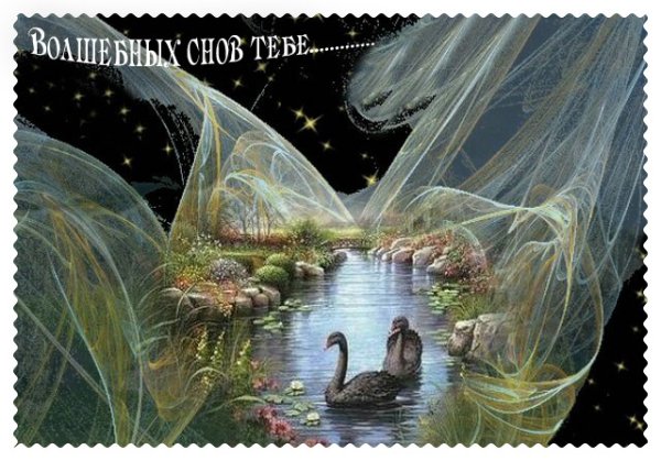Волшебной ночи сладких снов