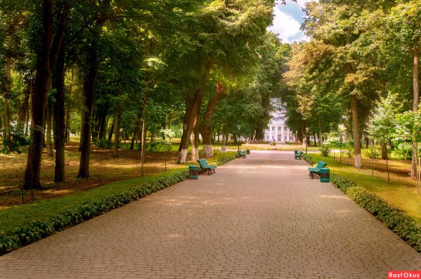 Летняя аллея