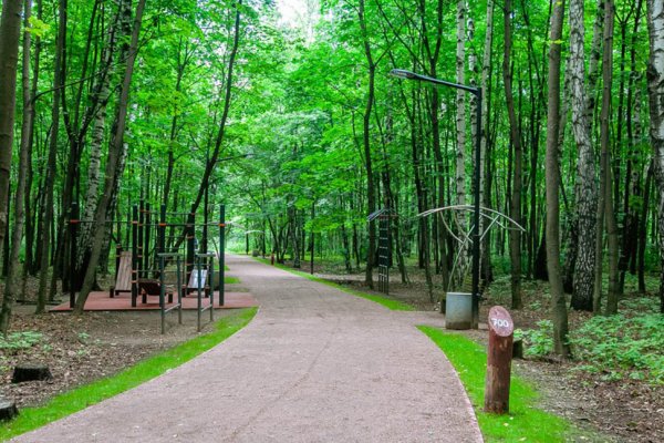 Парк Сокольники тропа