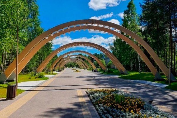 Кедровый Лог Сургут парке