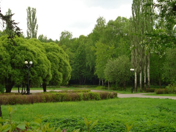 Флора Измайловского парка