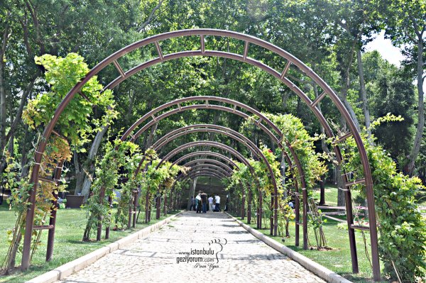 Тиарливский парк