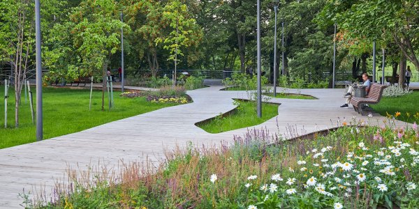 Сокольники парк благоустройство