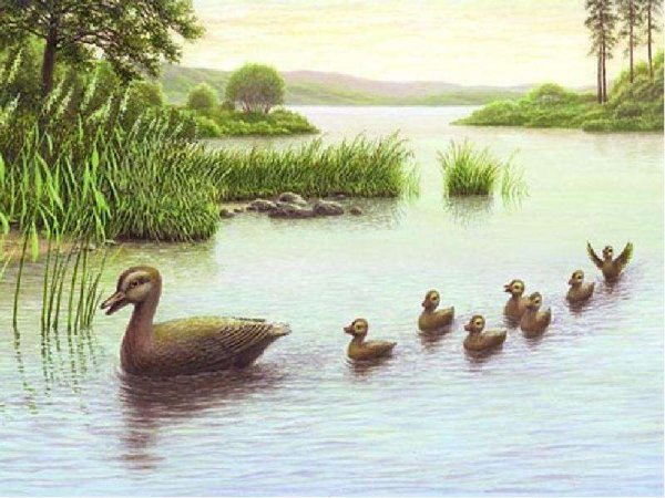 Утки в камышах живопись