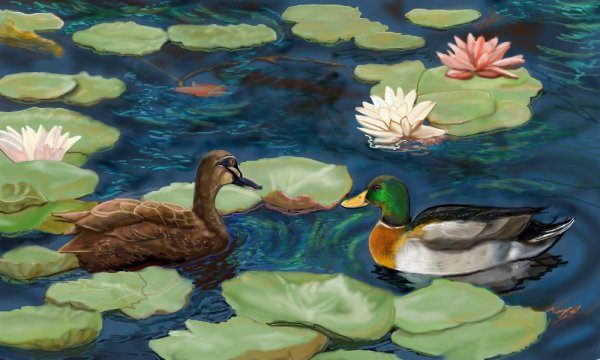 Краска для пруда