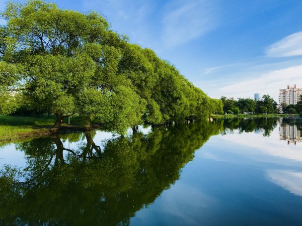 Парк Авиаторов Санкт-Петербург