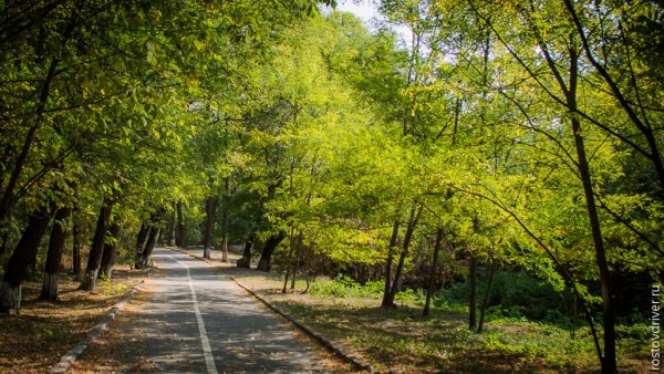 Парк Авиаторов Новочеркасск
