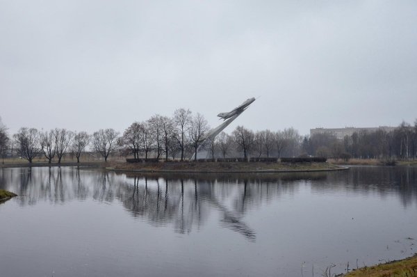 Парк Авиаторов лягушки