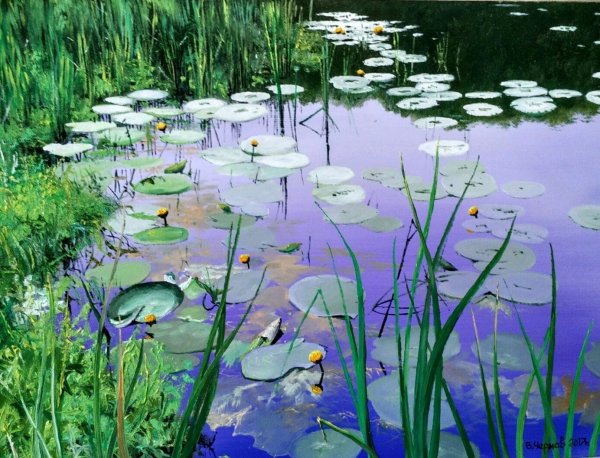 Владимир кувшинки