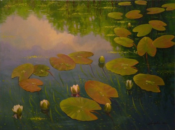 Нимфея Озерная