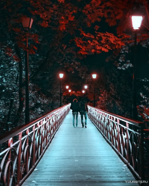 Ночная прогулка