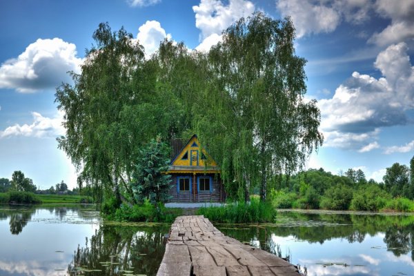 Природа лес река деревенский дом березы