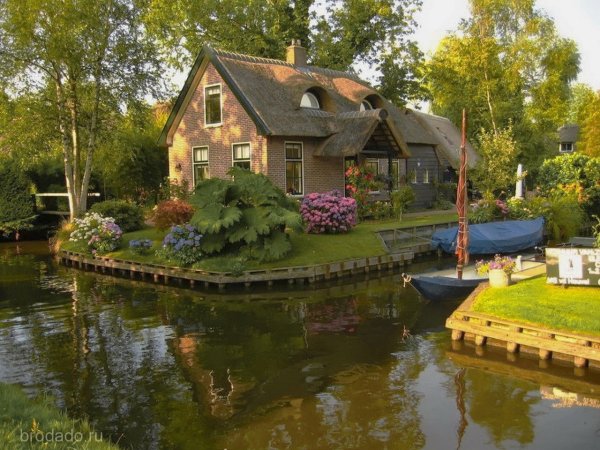 Гитхорн мечта