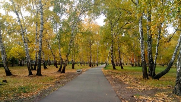 Парк ВЛКСМ осень Омск