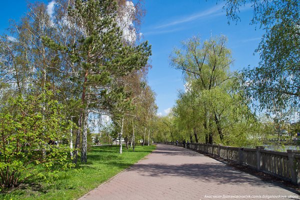 Город Омск парк ВЛКСМ