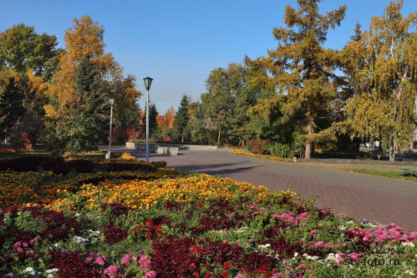 Сквер Дзержинского Омск осень
