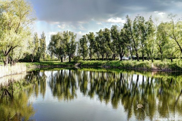 Омск городской парк пруд