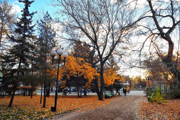 Осень в Курске