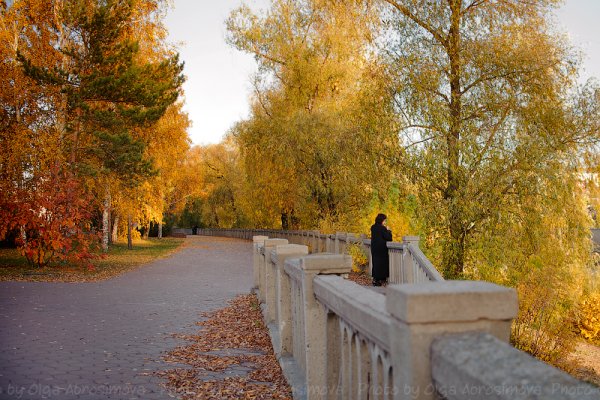 Омск осень Центральный парк
