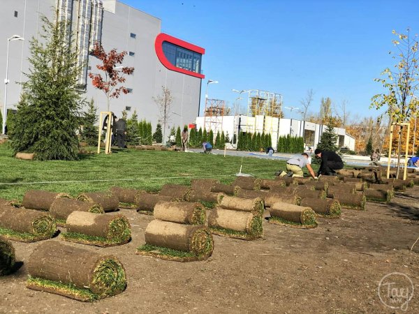 Город Саратов Тау парк