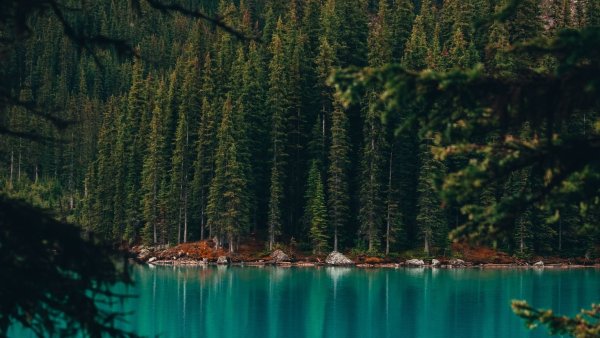 Акадийские леса Канада