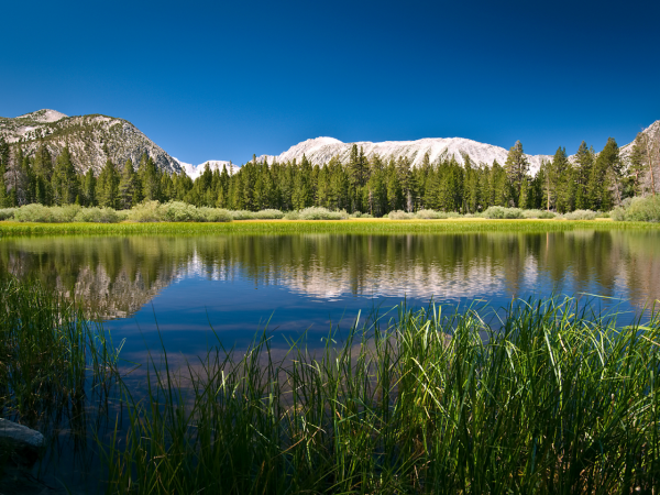 Пейзажи природы