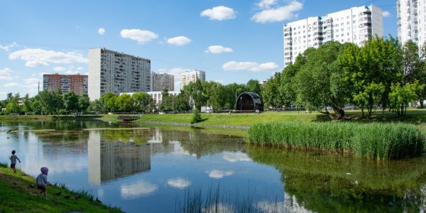 Солнцево малый пруд