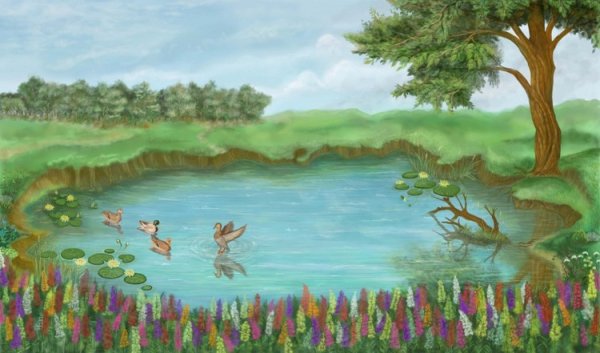 Дети на озере