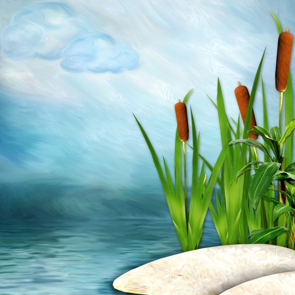 Болото с камышами