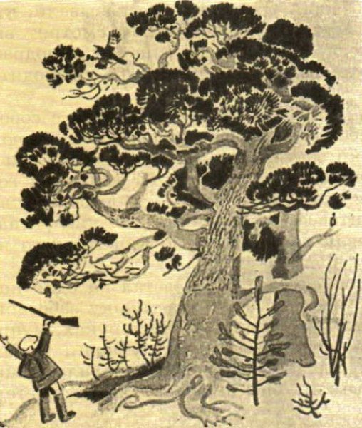 Васюткино озеро худ е мешков