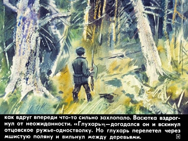 Иллюстрации к рассказу Астафьева Васюткино озеро