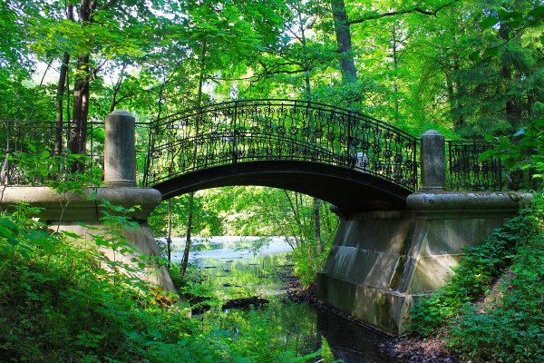 Сергиевка в Петергофе