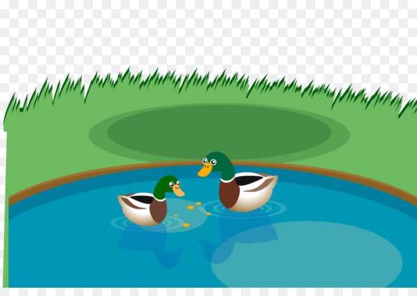 Утята в воде мультяшные